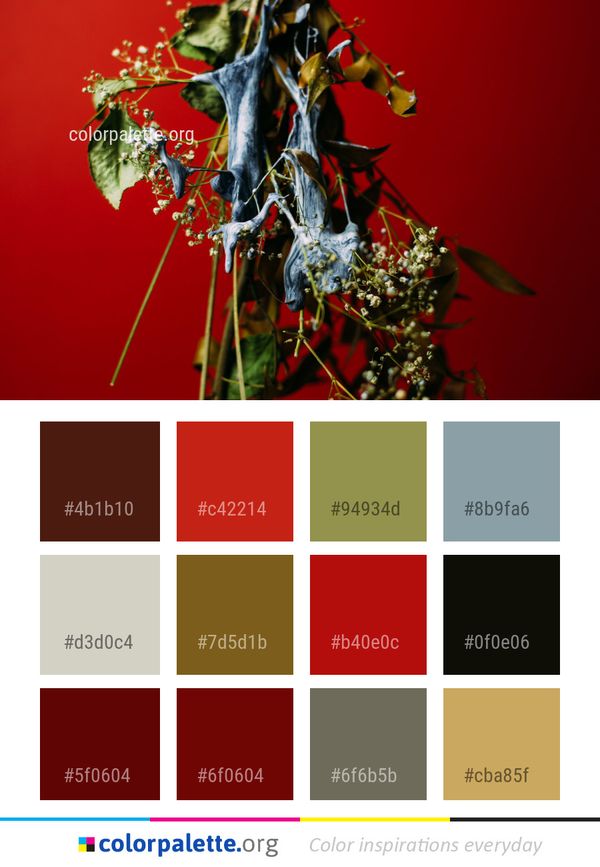 Flora Plant Computer Wallpaper Color Palette