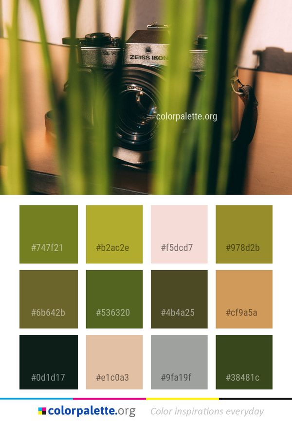 Green Grass Color Palette