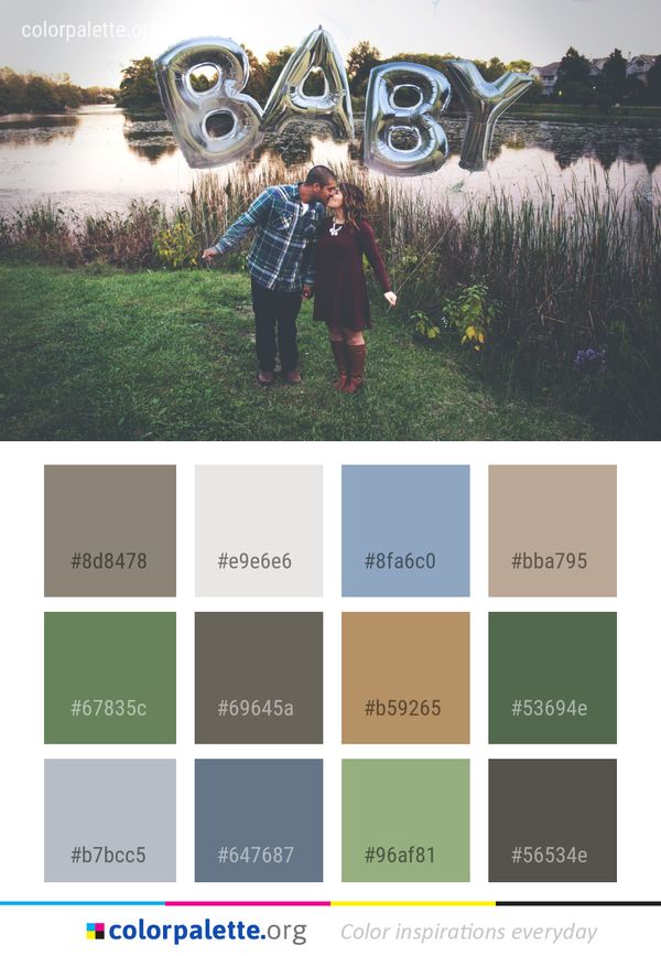 Photograph Nature Tree Color Palette