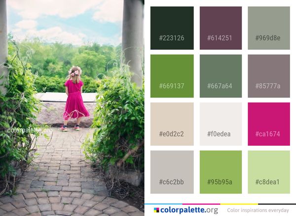 Photograph Pink Flower Color Palette