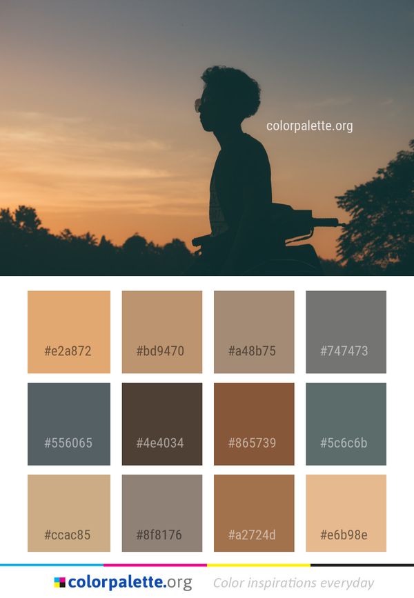 Sky Silhouette Tree Color Palette