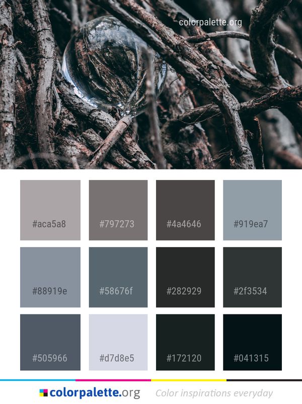 Tree Branch Plant Color Palette
