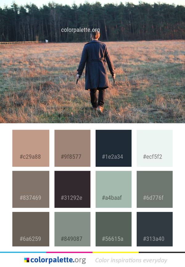 Tree Grass Field Color Palette