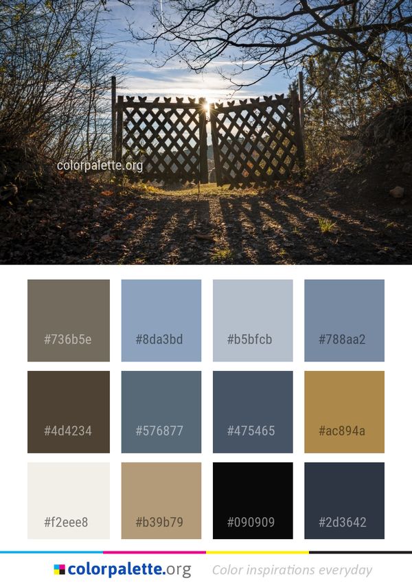 Tree Sky Morning Color Palette