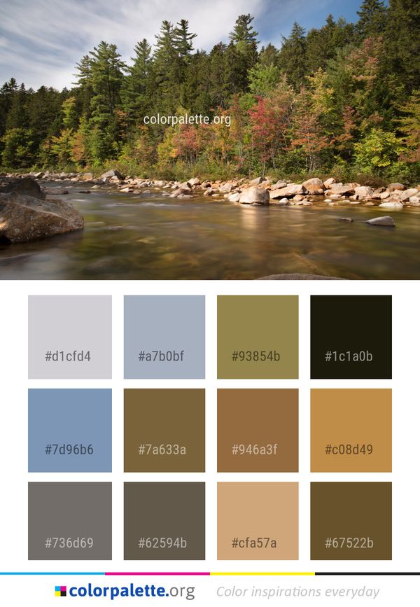 Water River Nature Color Palette