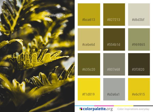 Yellow Flora Close Up Color Palette