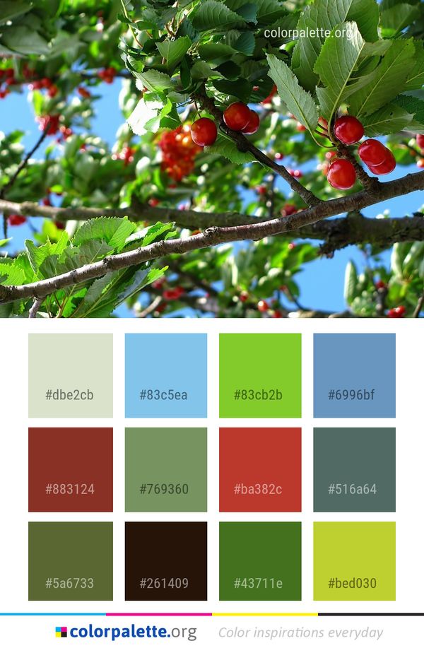 Cherry Plant Fruit Color Palette