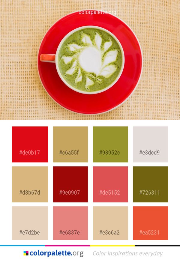 Dish Soup Cup Color Palette
