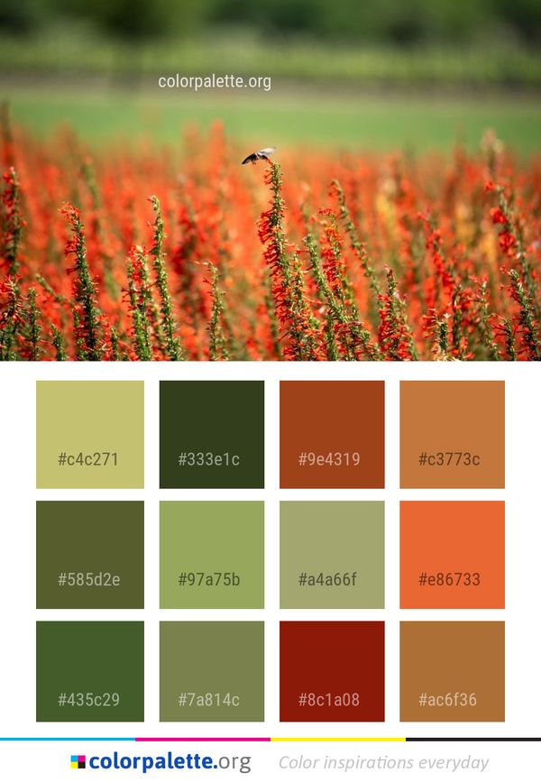 Field Ecosystem Vegetation Color Palette