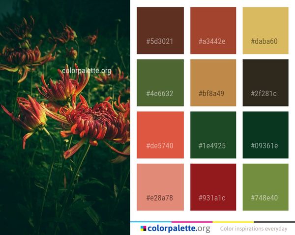 Flower Plant Flora Color Palette