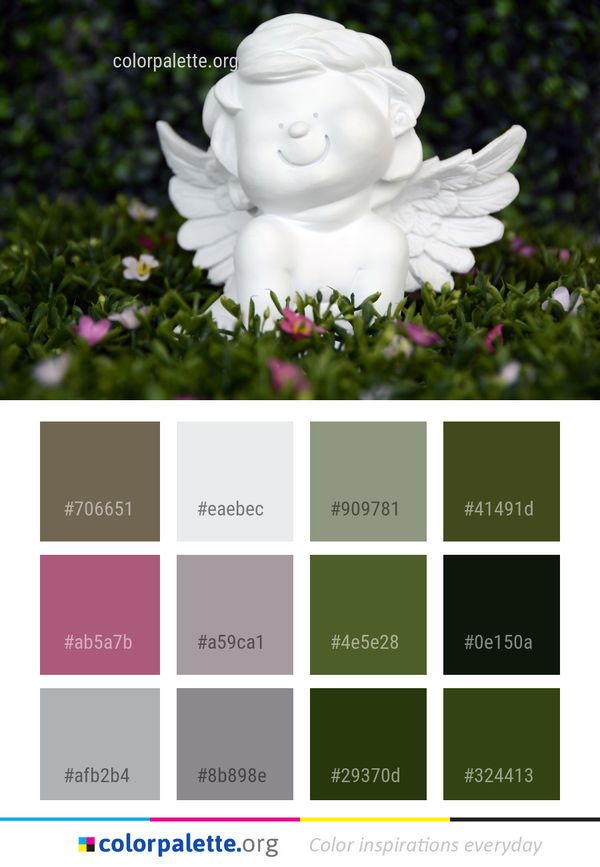 Flower Rose Family Plant Color Palette