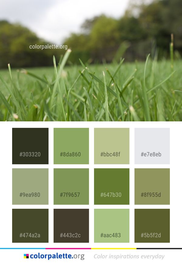 Grass Green Grassland Color Palette