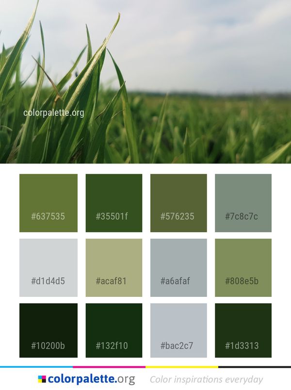 Green Grass Field Color Palette