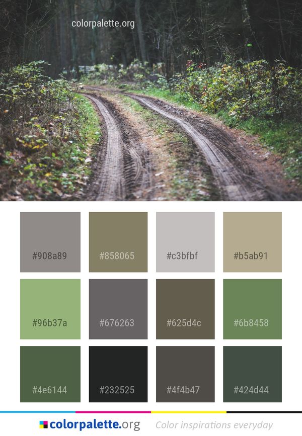 Path Track Forest Color Palette