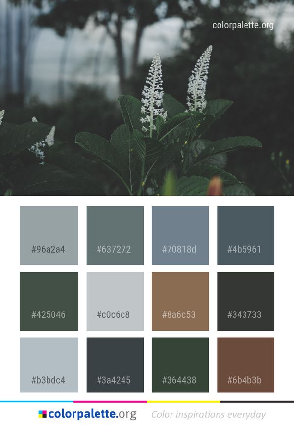 Plant Leaf Flora Color Palette