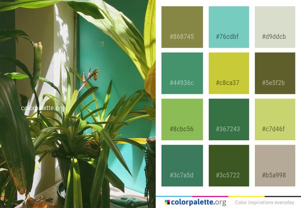 Plant Leaf Flora Color Palette