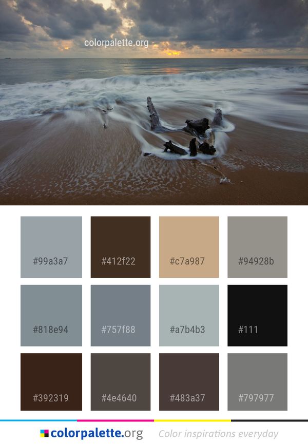Sea Shore Ocean Color Palette