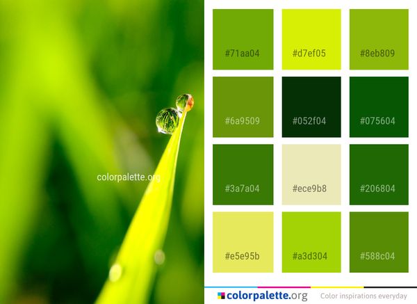 Water Dew Green Color Palette