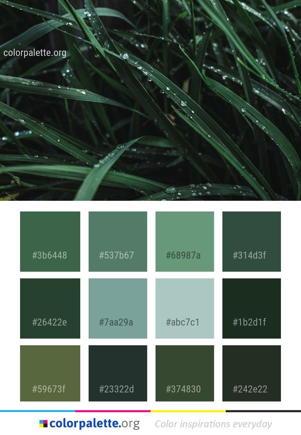 Water Green Dew Color Palette