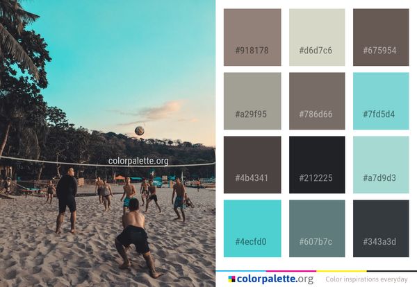 Beach Sky Body Of Water Color Palette