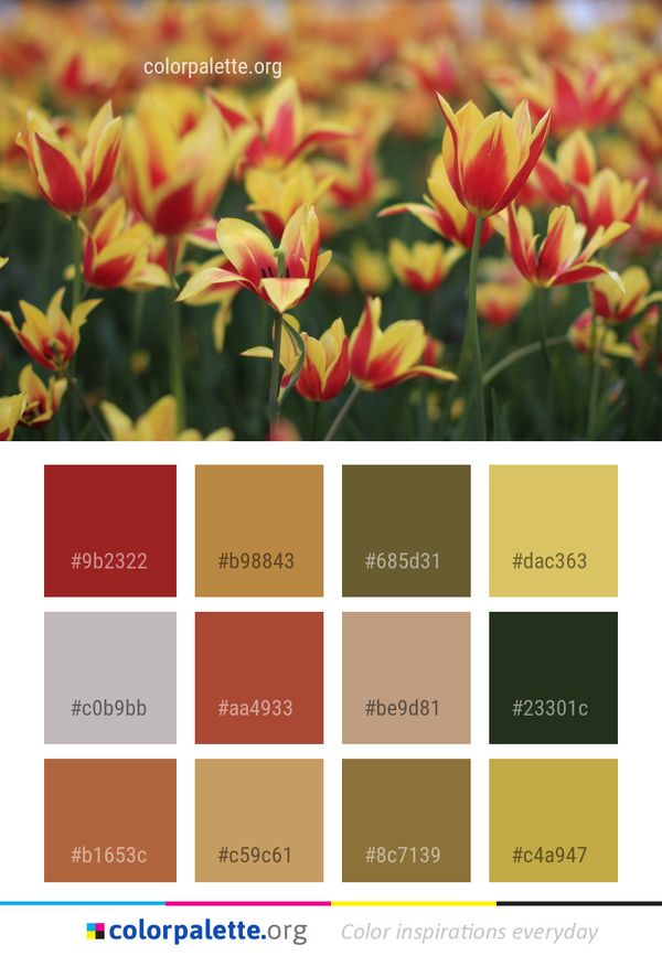 Flower Plant Flowering Color Palette