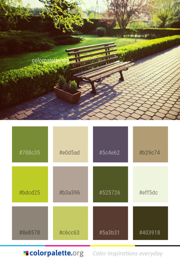 Nature Green Bench Color Palette