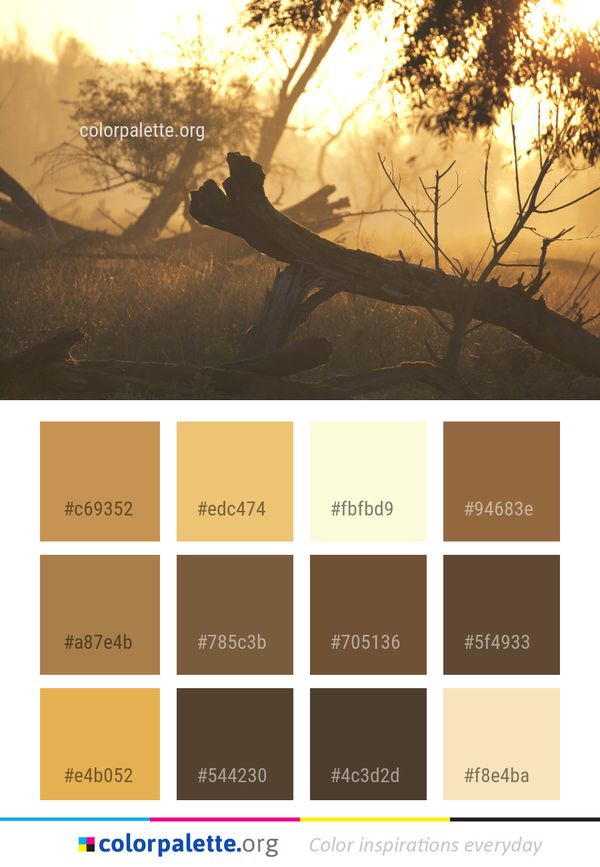 Nature Tree Branch Color Palette