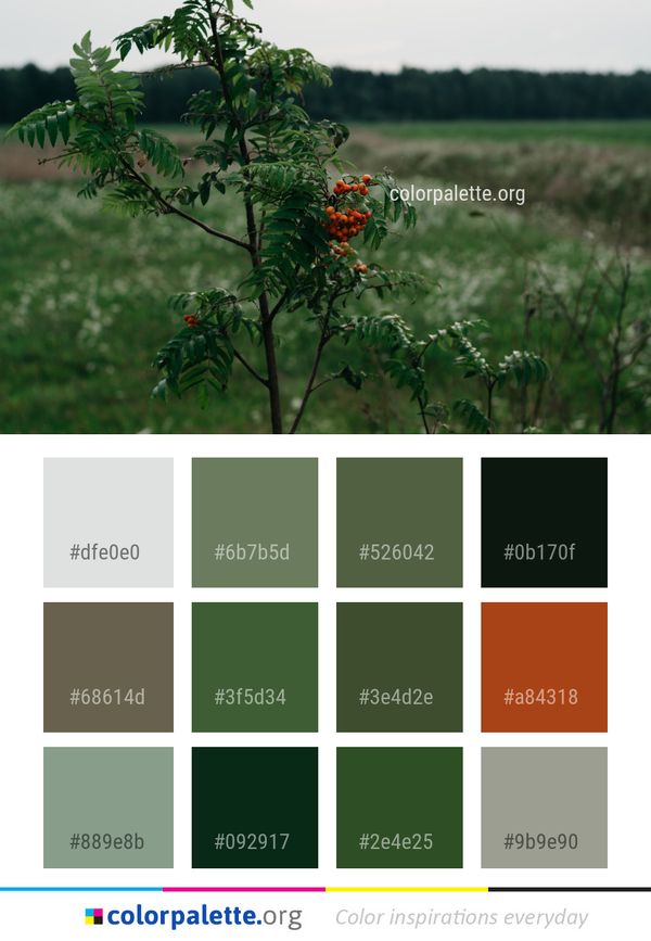 Plant Vegetation Flora Color Palette