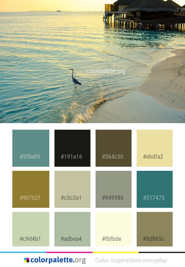Sea Water Body Of Color Palette