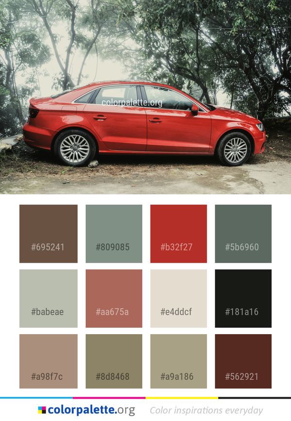 Car Motor Vehicle Color Palette