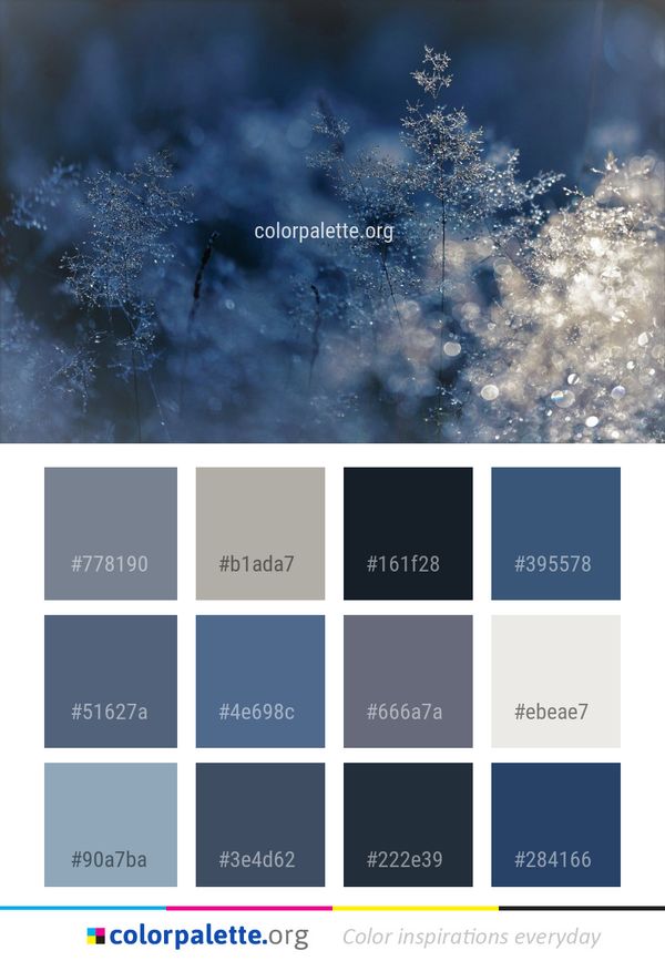 Freezing Frost Winter Color Palette