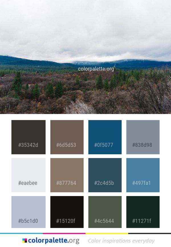Highland Wilderness Cloud Color Palette