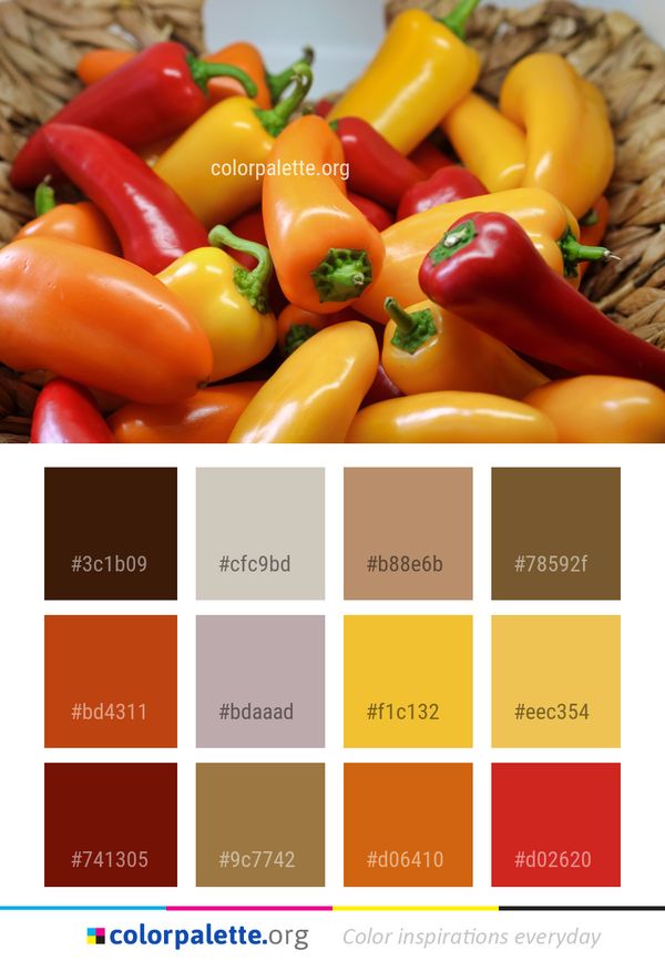 Natural Foods Vegetable Local Food Color Palette
