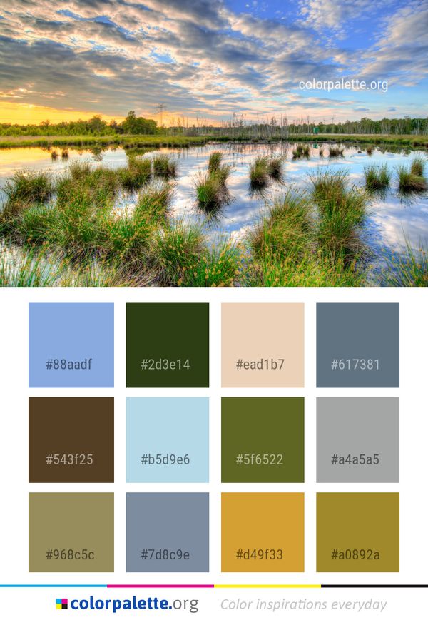 Reflection Nature Water Color Palette