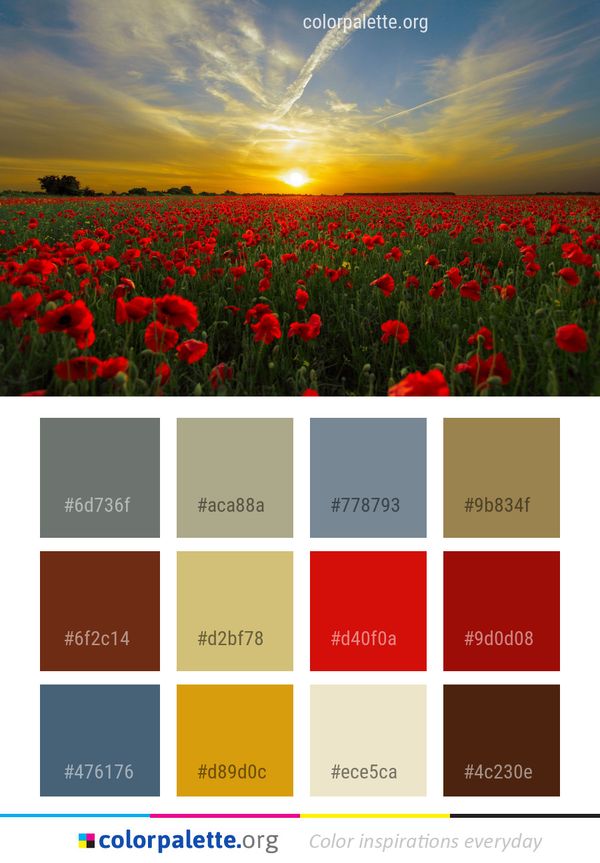Sky Field Flower Color Palette