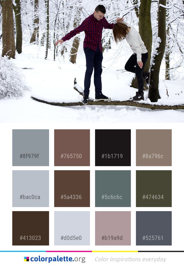 Snow Winter Footwear Color Palette