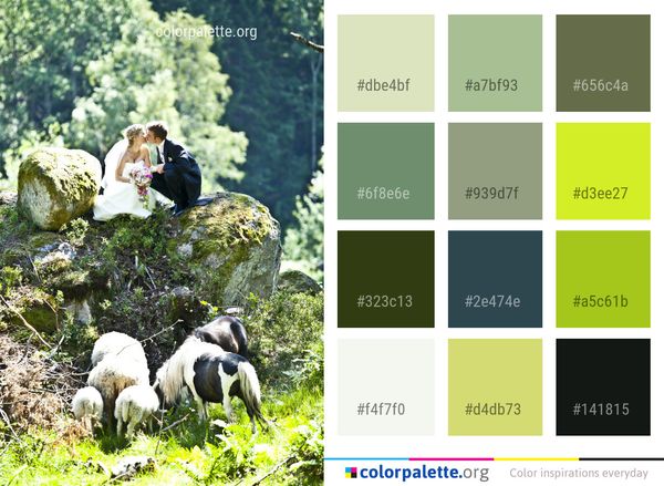 Tree Grass Plant Color Palette