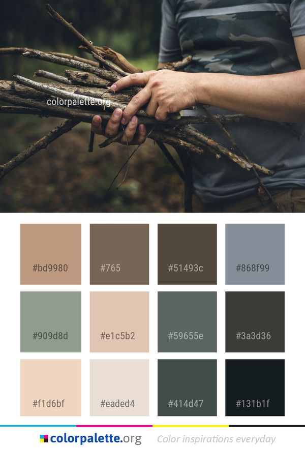 Tree Plant Branch Color Palette
