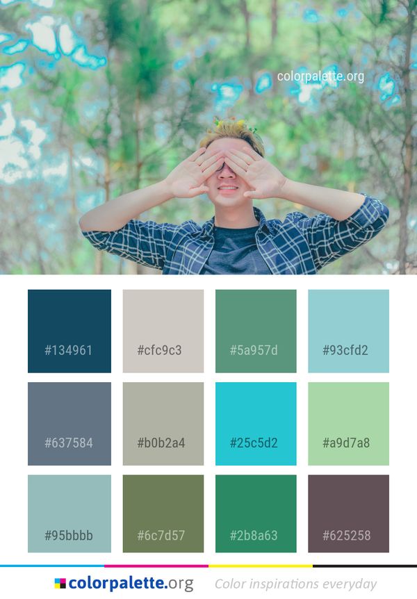 Blue Nature Photograph Color Palette