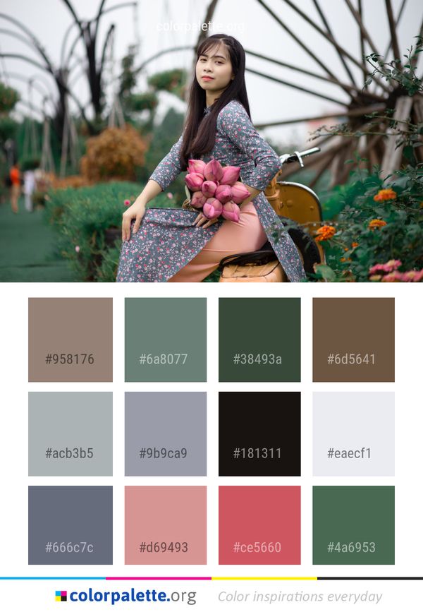 Flower Beauty Plant Color Palette