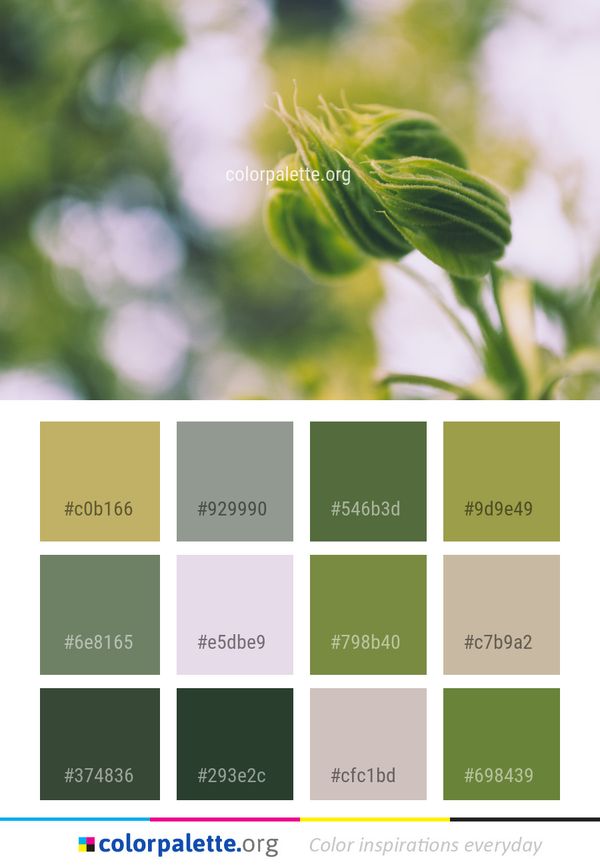 Green Leaf Close Up Color Palette