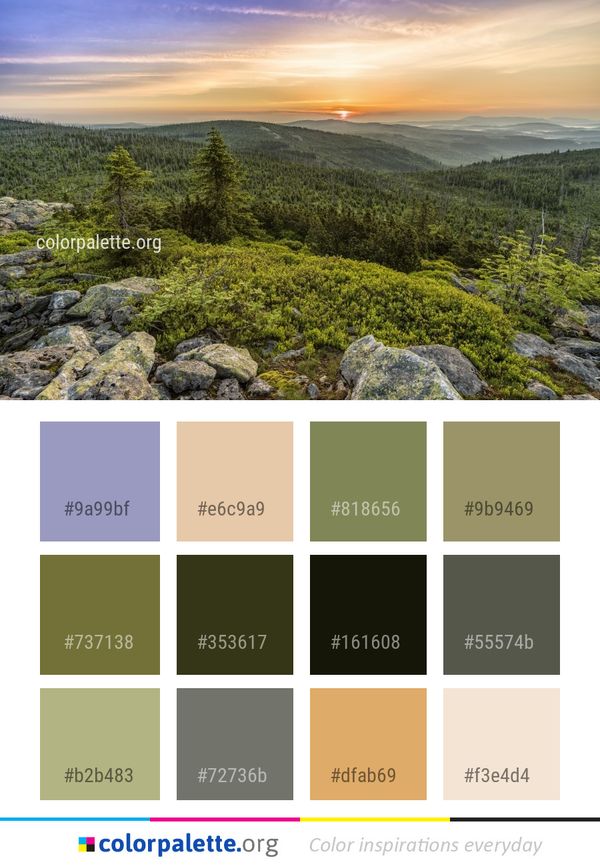 Nature Wilderness Vegetation Color Palette