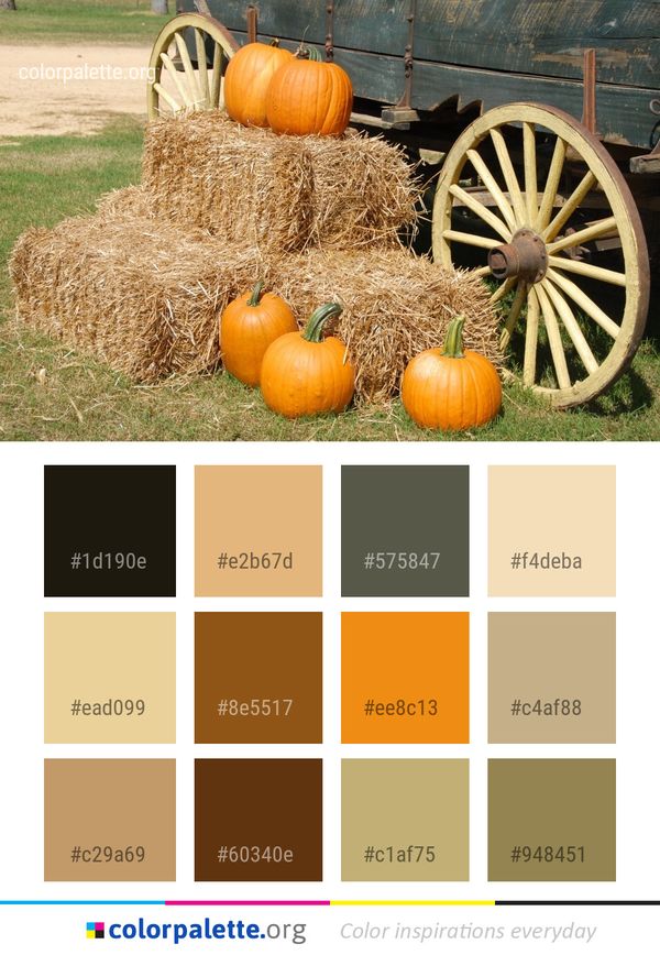 Pumpkin Hay Winter Squash Color Palette