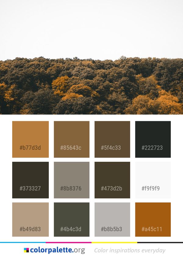 Sky Vegetation Leaf Color Palette