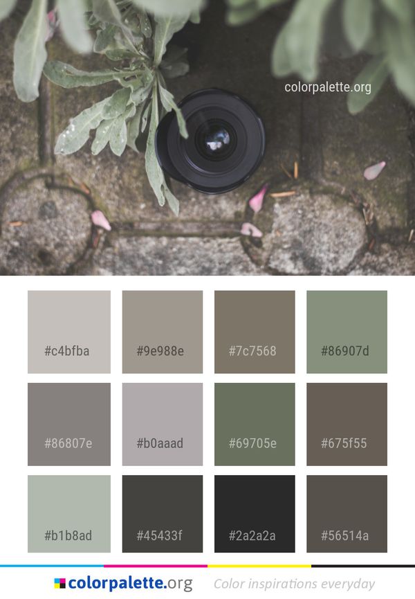 Tree Plant Color Palette