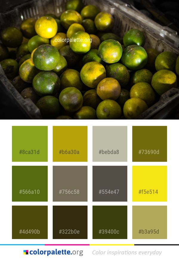 Citrus Natural Foods Fruit Color Palette