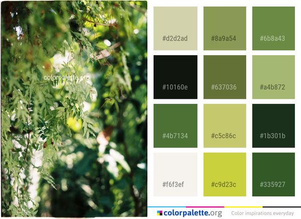 Flora Vegetation Leaf Color Palette