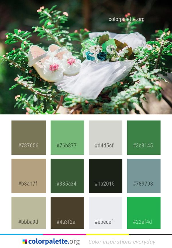 Flower Rose Family Arranging Color Palette