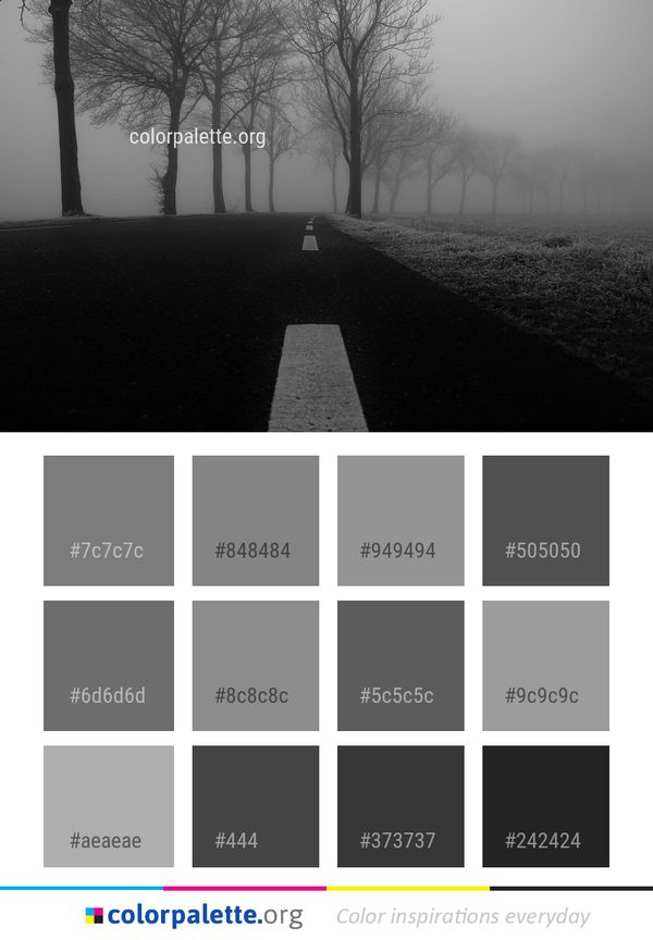 Fog Tree Black Color Palette