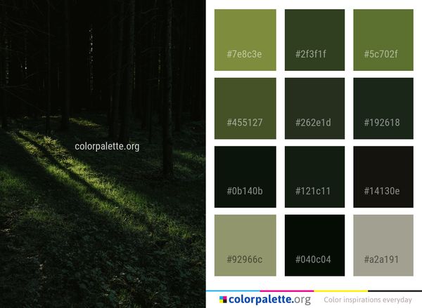 Forest Nature Green Color Palette